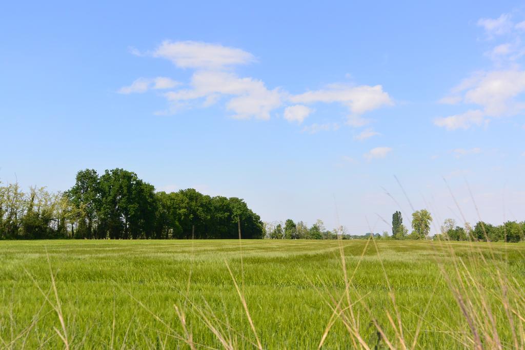 Agriturismo Cascina Mora Павия Екстериор снимка